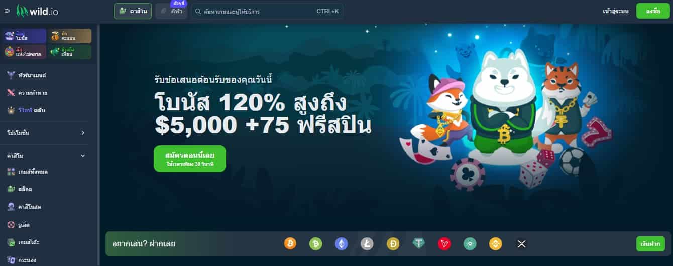 Wild.io สล็อตคริปโต