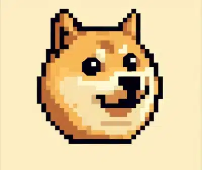 เกม PlayDoge 