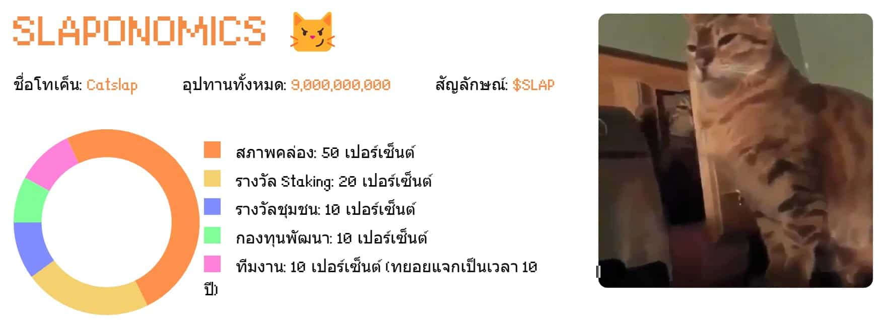 คาดการณ์ราคา CATSLAP 2024-2030